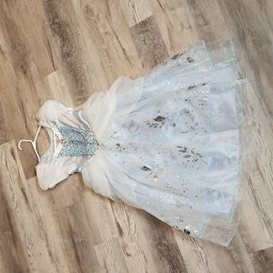 Cinderella Disney costume